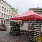 04.03.2017 Nasza droga do Kristianstad / Krzysztof Bujnowicz / Radio Kielce