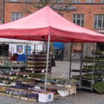 04.03.2017 Nasza droga do Kristianstad / Krzysztof Bujnowicz / Radio Kielce