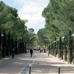 Spacer po Montpellier / Krzysztof Bujnowicz / Radio Kielce