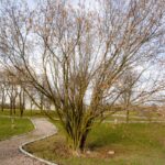 Ogród Botaniczny w Kielcach / Jarosław Kubalski / Radio Kielce