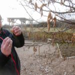 Ogród Botaniczny w Kielcach / Jarosław Kubalski / Radio Kielce