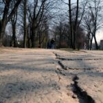 Kielce. Alejki w Parku Miejskim / Robert Felczak / Radio Kielce