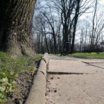 Kielce. Alejki w Parku Miejskim / Robert Felczak / Radio Kielce