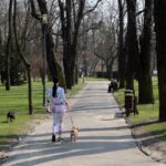 Kielce. Alejki w Parku Miejskim / Robert Felczak / Radio Kielce