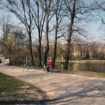 Kielce. Alejki w Parku Miejskim / Robert Felczak / Radio Kielce