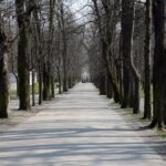 Kielce. Alejki w Parku Miejskim / Robert Felczak / Radio Kielce