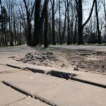 Kielce. Alejki w Parku Miejskim / Robert Felczak / Radio Kielce