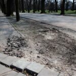 Kielce. Alejki w Parku Miejskim / Robert Felczak / Radio Kielce