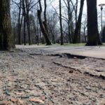 Kielce. Alejki w Parku Miejskim / Robert Felczak / Radio Kielce