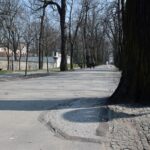 Kielce. Alejki w Parku Miejskim / Robert Felczak / Radio Kielce