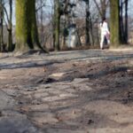 Kielce. Alejki w Parku Miejskim / Robert Felczak / Radio Kielce