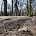 Kielce. Alejki w Parku Miejskim / Robert Felczak / Radio Kielce