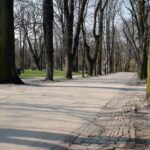 Kielce. Alejki w Parku Miejskim / Robert Felczak / Radio Kielce