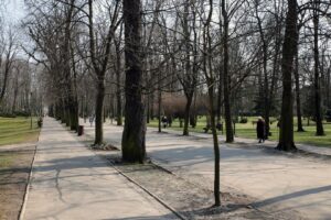 Kielce. Alejki w Parku Miejskim / Robert Felczak / Radio Kielce