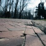 Kielce. Alejki w Parku Miejskim / Robert Felczak / Radio Kielce