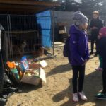 17.03.2017 Sandomierz. Poseł PiS Michał Cieślak oraz uczniowie z Zespołu Szkół w Sadowiu przekazali dary dla schroniska dla bezdomnych psów w Sandomierzu / Grażyna Szlęzak - Wójcik / Radio Kielce