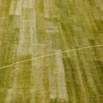 16.03.2017 Kielce. Nowa murawa na Kolporter Arenie. / Jarosław Kubalski / Radio Kielce