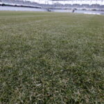 16.03.2017 Kielce. Nowa murawa na Kolporter Arenie. / Jarosław Kubalski / Radio Kielce