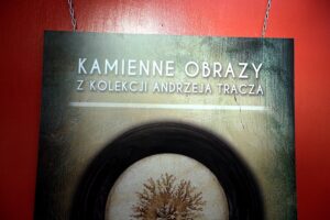 01.03.2017 Kielce. Wystawa "Kamienne obrazy" w Galerii Sztuki Współczesnej WINDA / Jarosław Kubalski / Radio Kielce