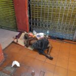 Malezja. Kuala Lumpur / Andrzej Sierzputowski, Aleksander Piekarski