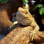 Malezja. Langkawi / Andrzej Sierzputowski, Aleksander Piekarski