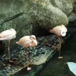 Malezja. Langkawi / Andrzej Sierzputowski, Aleksander Piekarski