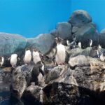 Malezja. Langkawi / Andrzej Sierzputowski, Aleksander Piekarski