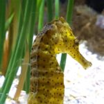 Malezja. Langkawi / Andrzej Sierzputowski, Aleksander Piekarski