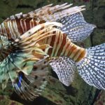 Malezja. Langkawi / Andrzej Sierzputowski, Aleksander Piekarski