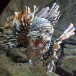 Malezja. Langkawi / Andrzej Sierzputowski, Aleksander Piekarski