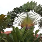 Malezja. Langkawi / Andrzej Sierzputowski, Aleksander Piekarski