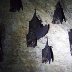 Malezja. Langkawi / Andrzej Sierzputowski, Aleksander Piekarski