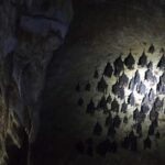 Malezja. Langkawi / Andrzej Sierzputowski, Aleksander Piekarski