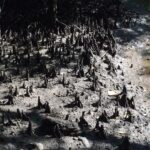 Malezja. Langkawi / Andrzej Sierzputowski, Aleksander Piekarski