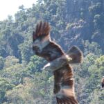 Malezja. Langkawi / Andrzej Sierzputowski, Aleksander Piekarski