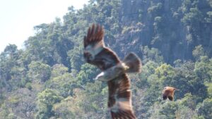 Malezja. Langkawi / Andrzej Sierzputowski, Aleksander Piekarski