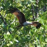 Malezja. Langkawi / Andrzej Sierzputowski, Aleksander Piekarski