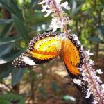 Malezja. Penang / Andrzej Sierzputowski, Aleksander Piekarski