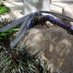 Malezja. Penang / Andrzej Sierzputowski, Aleksander Piekarski