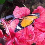 Malezja. Penang / Andrzej Sierzputowski, Aleksander Piekarski