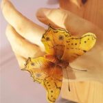 Malezja. Penang / Andrzej Sierzputowski, Aleksander Piekarski