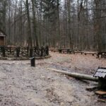 Spacer po Puszczy Jodłowej w Świętej Katarzynie / Robert Felczak / Radio Kielce