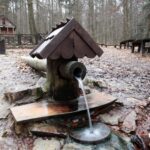 Spacer po Puszczy Jodłowej w Świętej Katarzynie / Robert Felczak / Radio Kielce