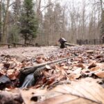 Spacer po Puszczy Jodłowej w Świętej Katarzynie / Robert Felczak / Radio Kielce