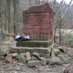 Spacer po Puszczy Jodłowej w Świętej Katarzynie / Robert Felczak / Radio Kielce