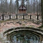 Spacer po Puszczy Jodłowej w Świętej Katarzynie / Robert Felczak / Radio Kielce