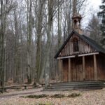 Spacer po Puszczy Jodłowej w Świętej Katarzynie / Robert Felczak / Radio Kielce