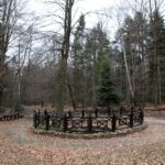 Spacer po Puszczy Jodłowej w Świętej Katarzynie / Robert Felczak / Radio Kielce