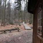 Spacer po Puszczy Jodłowej w Świętej Katarzynie / Robert Felczak / Radio Kielce