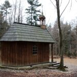 Spacer po Puszczy Jodłowej w Świętej Katarzynie / Robert Felczak / Radio Kielce